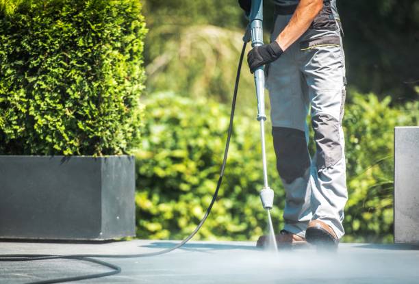 Best Patio and Deck Pressure Washing  in Davisboro, GA