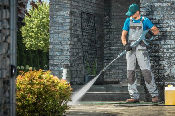 Best Driveway Pressure Washing  in Davisboro, GA