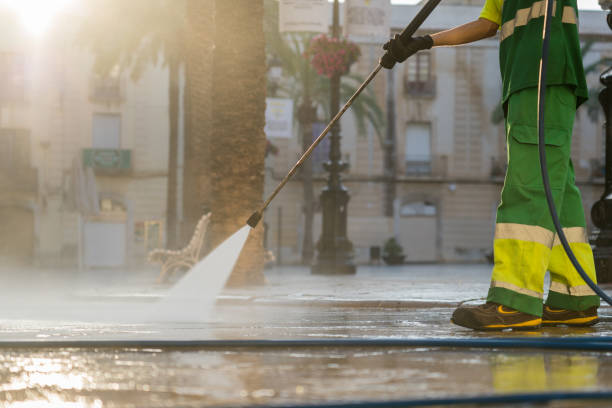 Best Sidewalk and Walkway Cleaning  in Davisboro, GA